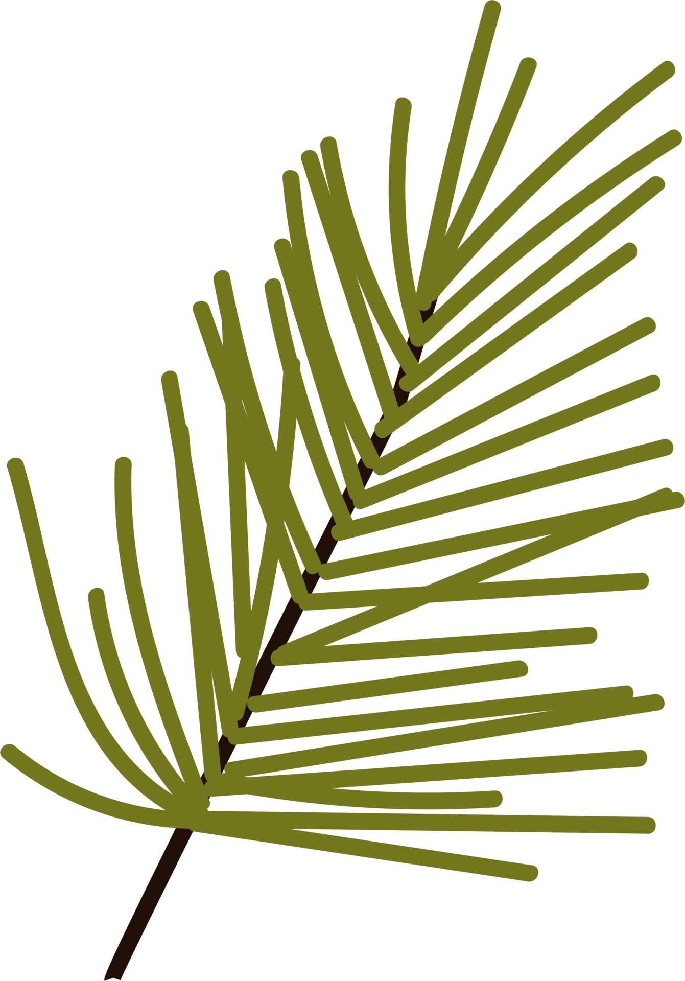 A simple Christmas tree. Pine branch. Green branch christmas element