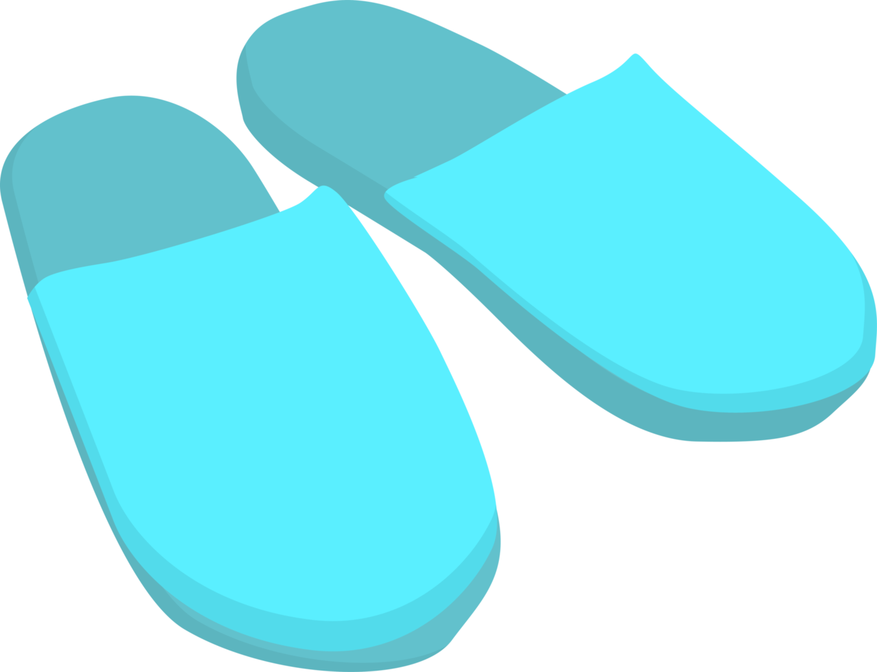 blue room slippers png