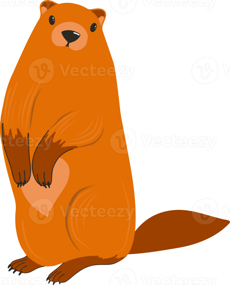 Groundhog Day. Groundhog character. Beaver or gopher.Flat cartoon style.Weather forecaster. png