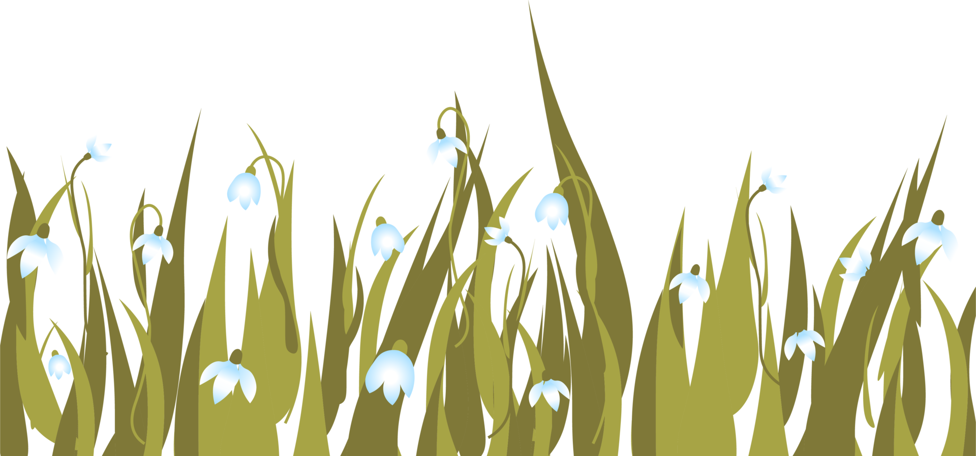 fundo horizontal com prímulas. snowdrops e grama de primavera png