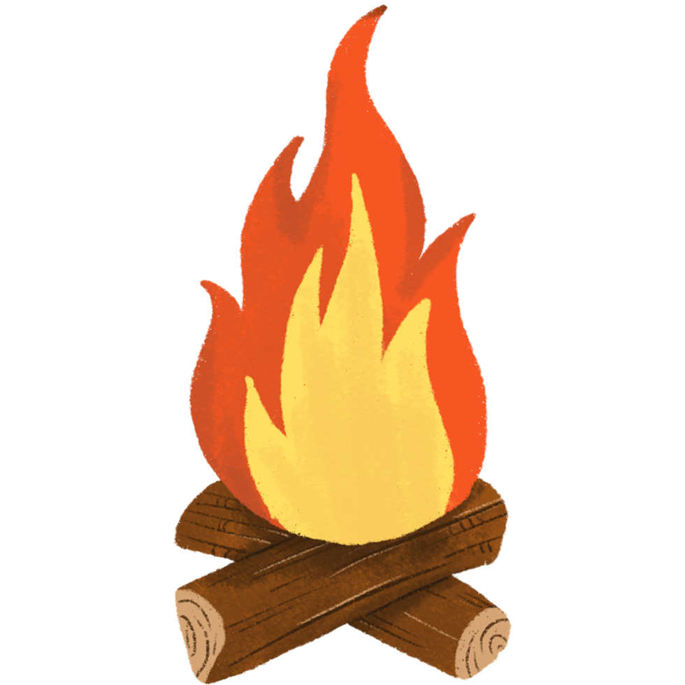 Camp Fire Wood png