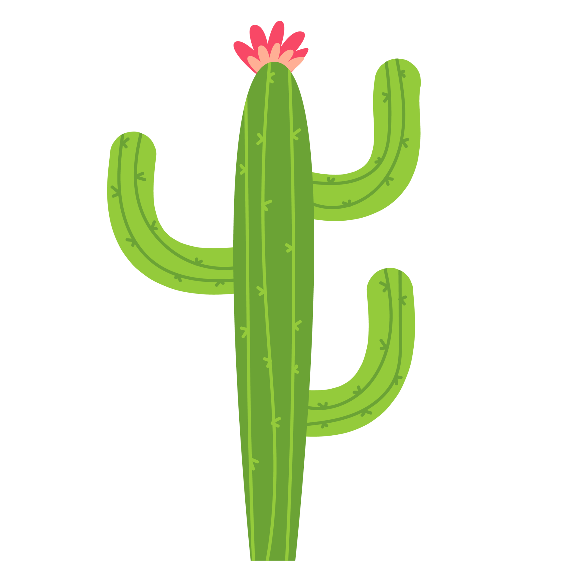 Succulent plant Cactus graphics Ilustração, cacto, planta suculenta, cacto  png