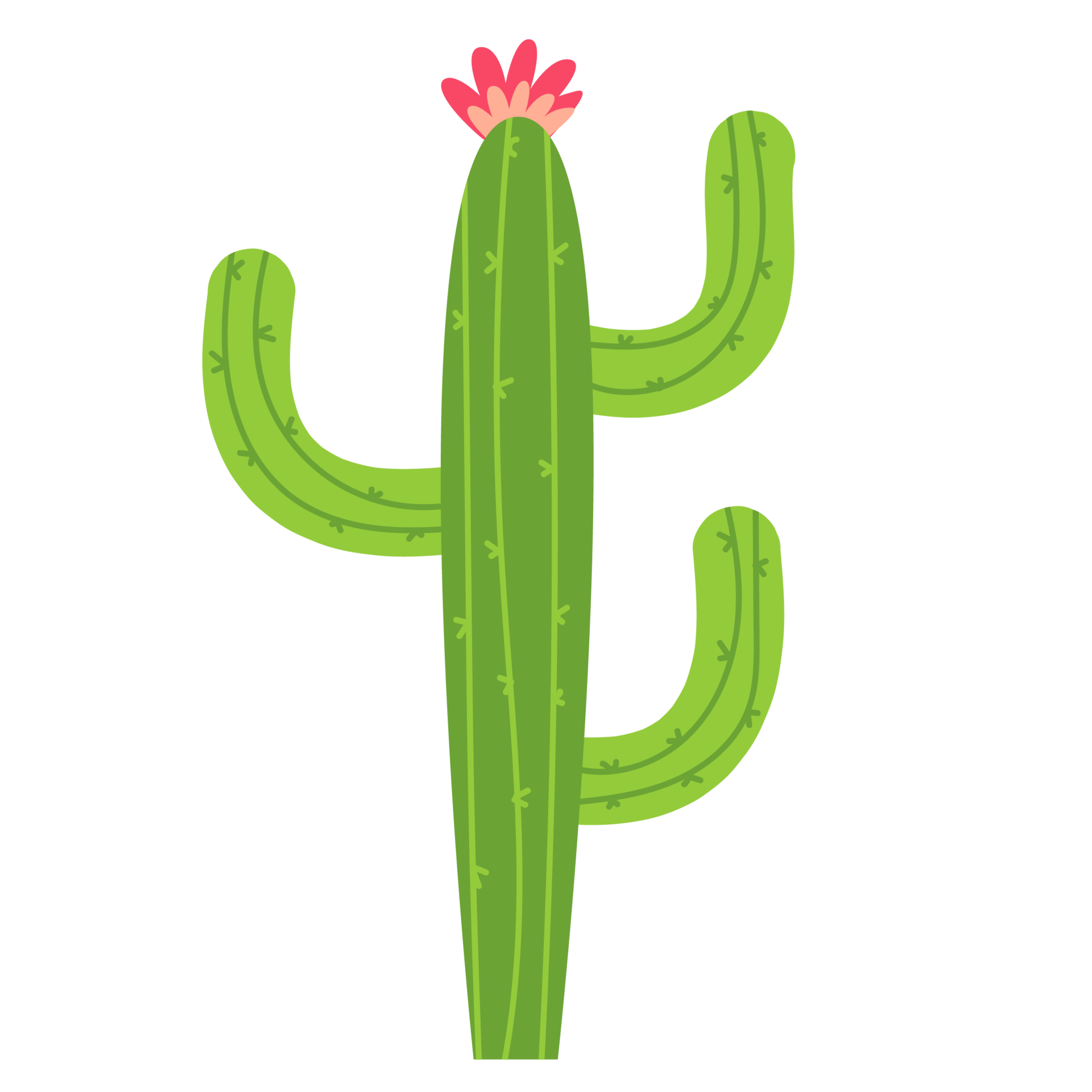 Cactus Clipart Transparent Background - Cactos Png, Png Download -  3558x8000 PNG 