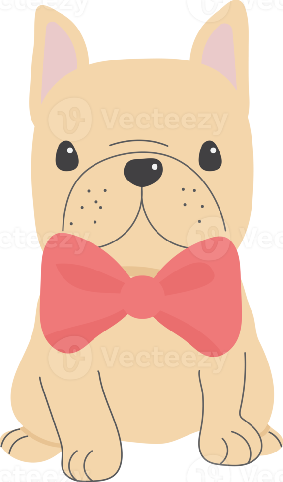 lindo perro bulldog francés en traje de día de san valentín estilo plano png