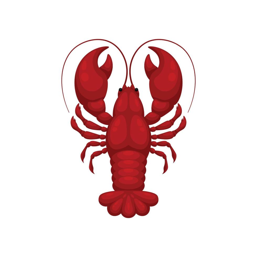Cartoon red lobster isolated. vector