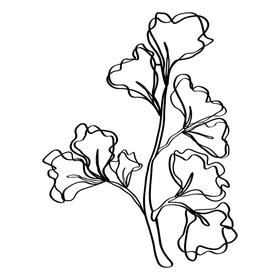 Linear doodle graphic sketch of decorative plant. Graphic sketch of tattoo. Sketch of plant branch with leaves vector