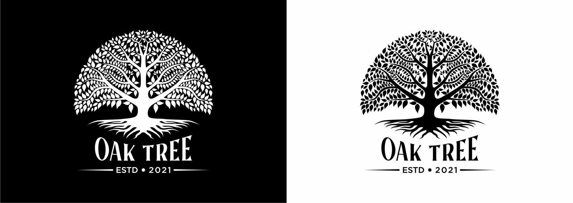 Tree of life oak banyan leaf and root seal emblem stamp logo design inspiration vector