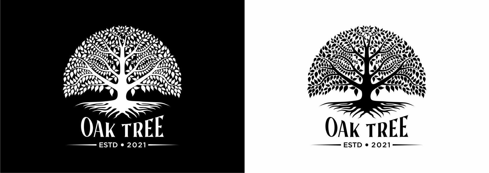 Tree of life oak banyan leaf and root seal emblem stamp logo design inspiration vector