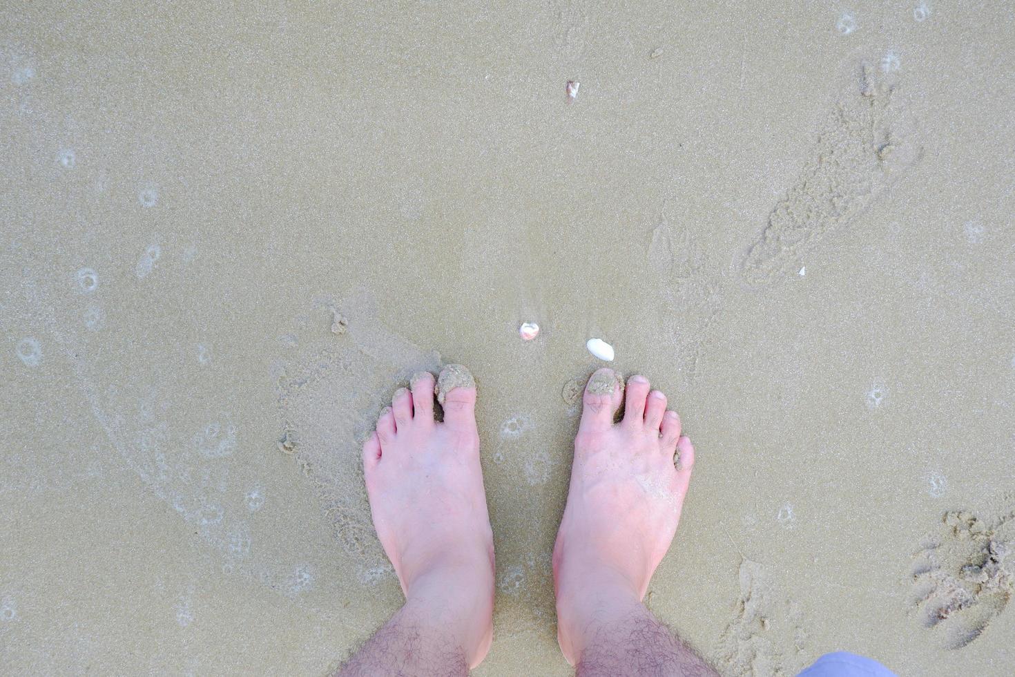 men's feet Standing on a sandy beach, at the seashore with shells buried in the sand. photo