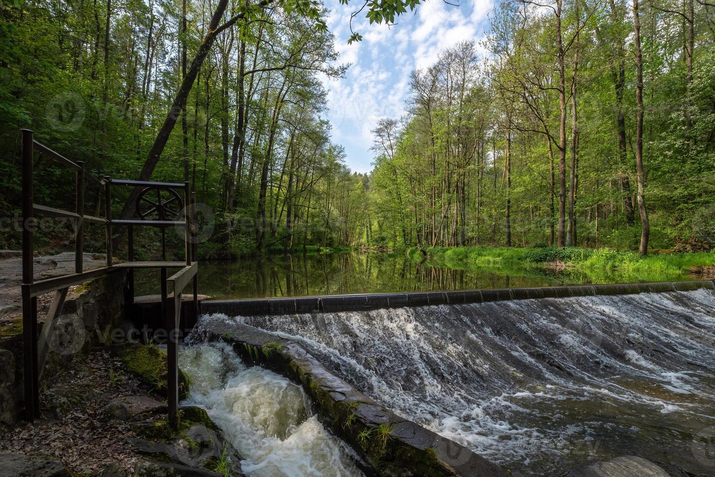 Water from a pond drains through a concrete fence. Pond running through a grove of trees. Drain culvert photo