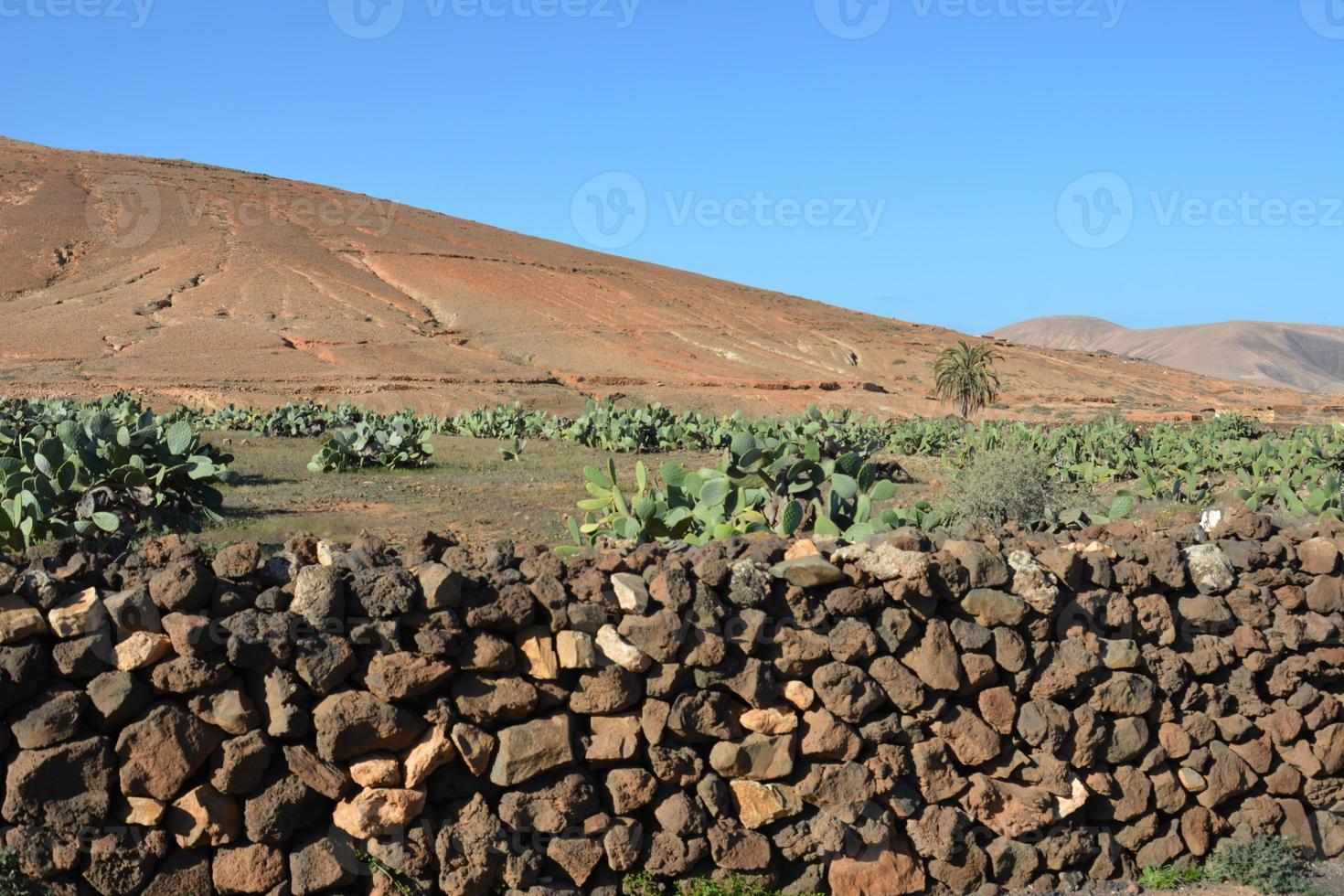 vista del paisaje de montaña. fuerteventura. Islas Canarias. España foto