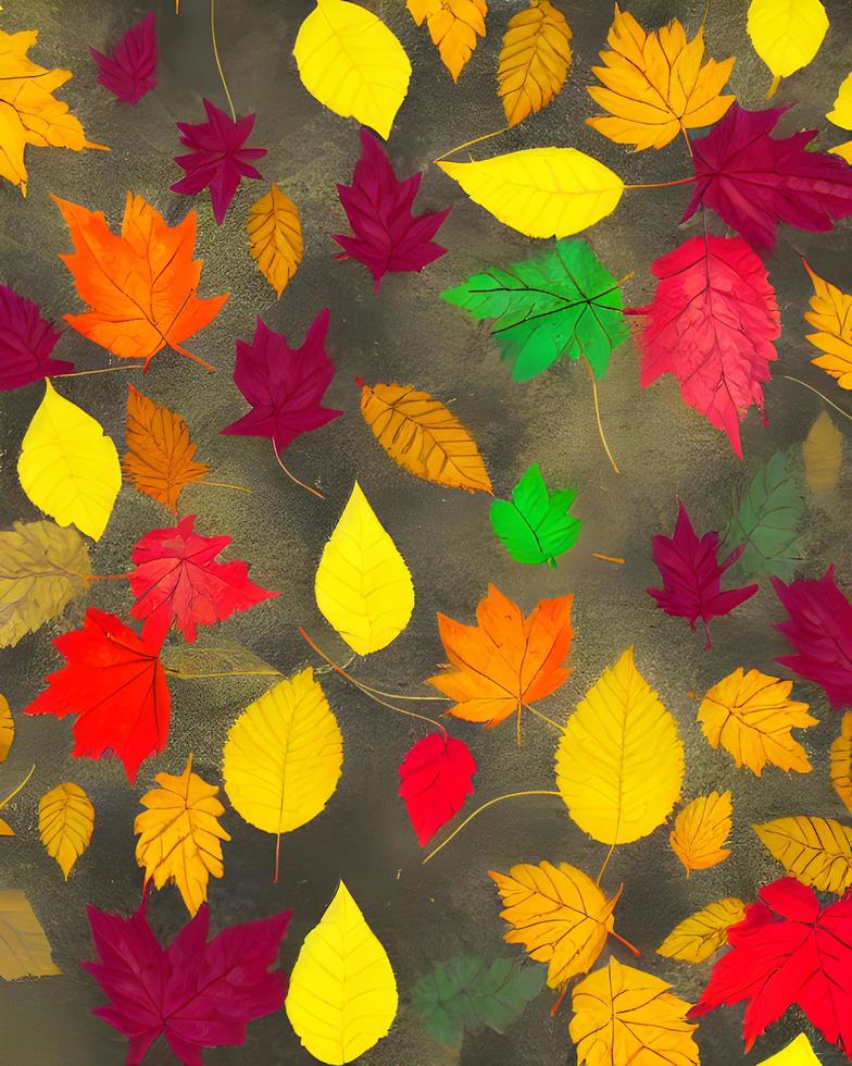 Colorful Leaves Photography photo