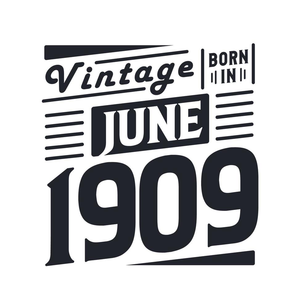 Vintage born in June 1909. Born in June 1909 Retro Vintage Birthday vector
