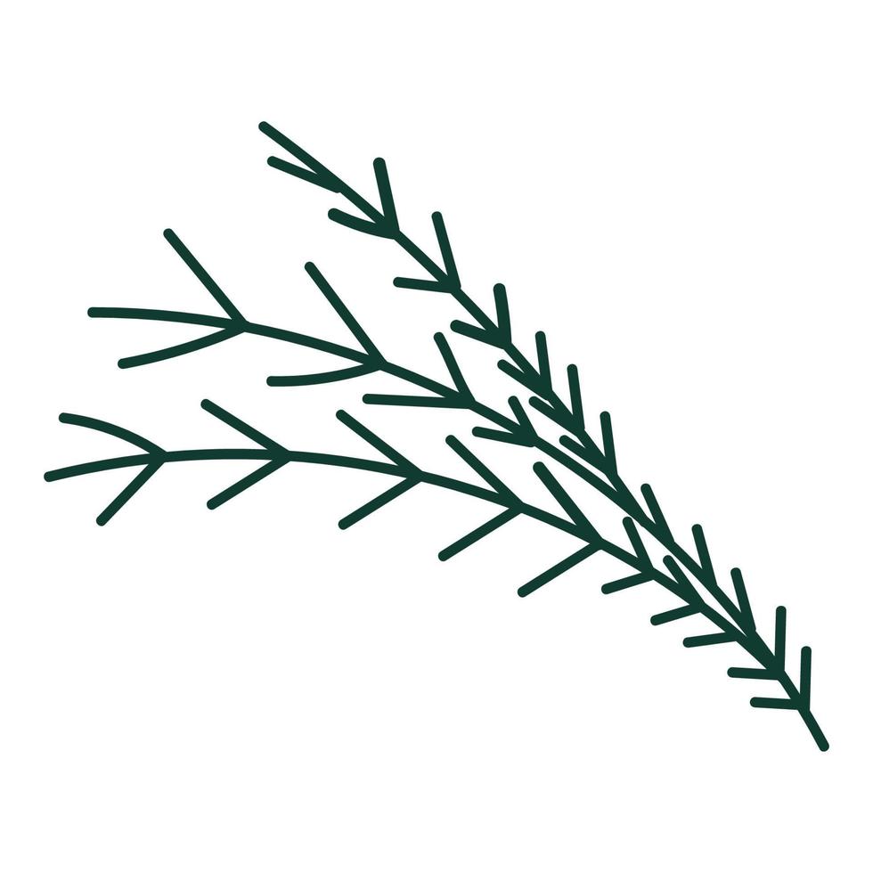 the branch of the Christmas tree doodle vector