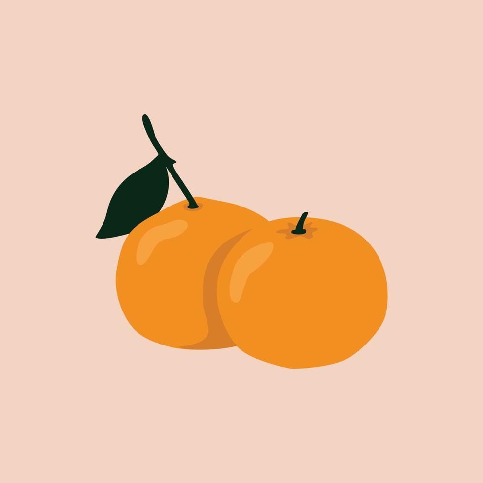 ilustración de fruta naranja fresca vector