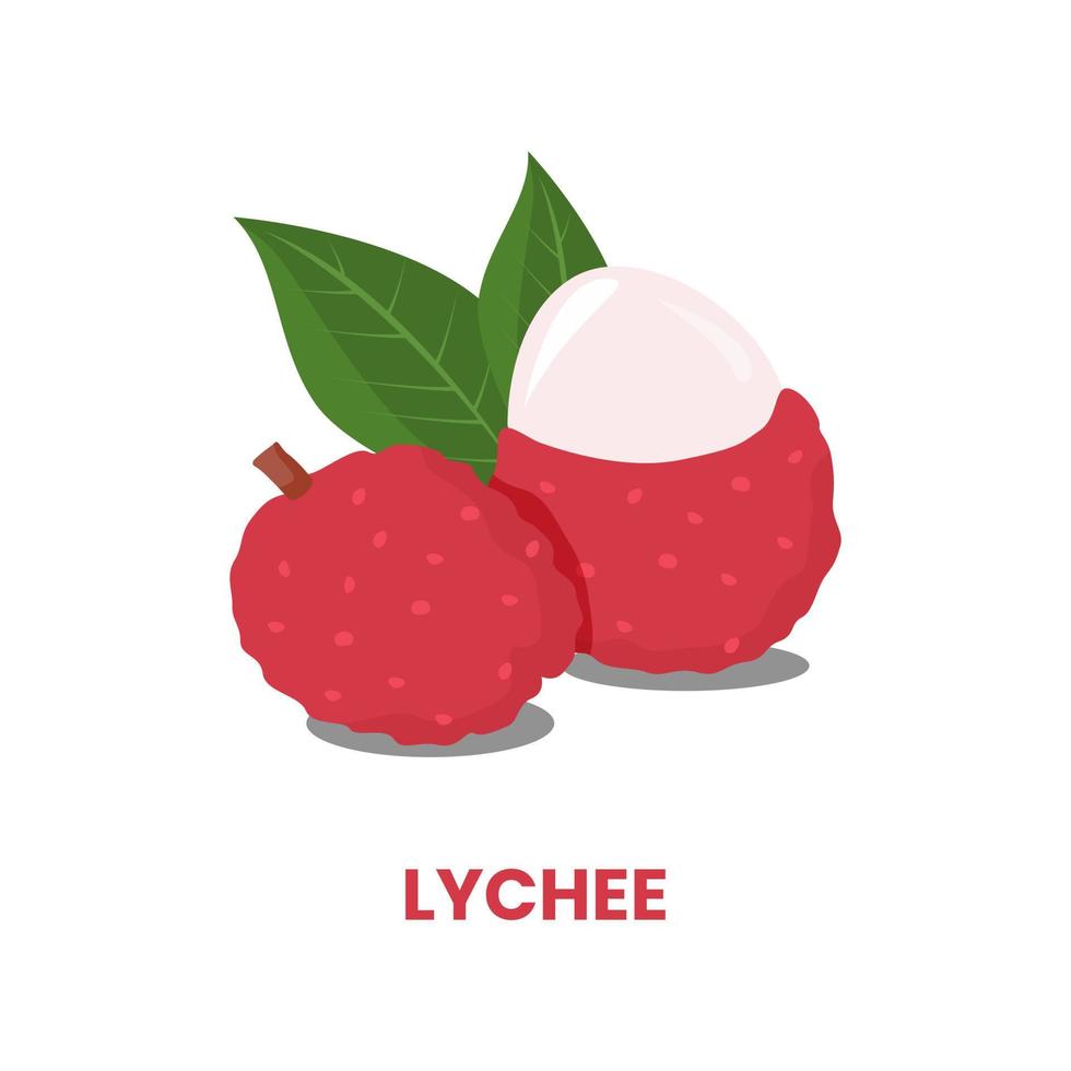 vector de diseño de ilustración roja pelada de fruta tropical de lichi