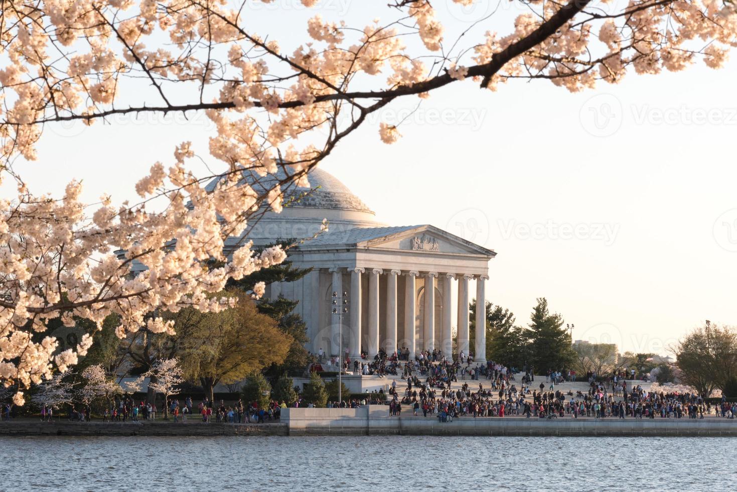 Cherry Blossom Festival - Washington, D.C. photo