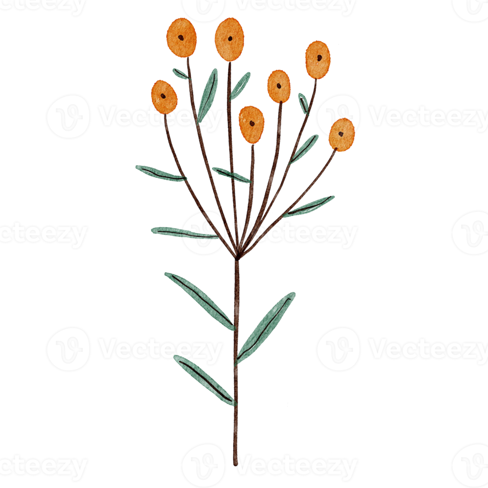 vattenfärg löv och pastell blommor png