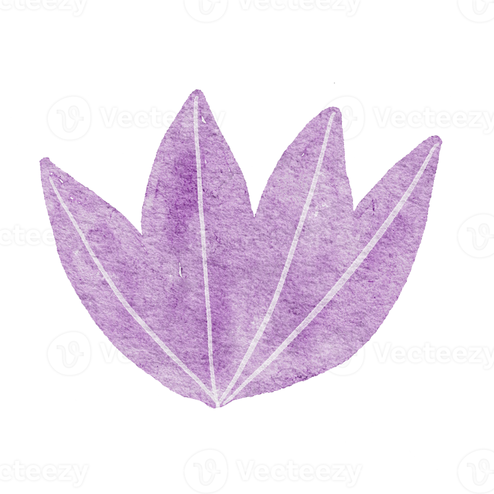 watercolor leaves and pastel flowers png