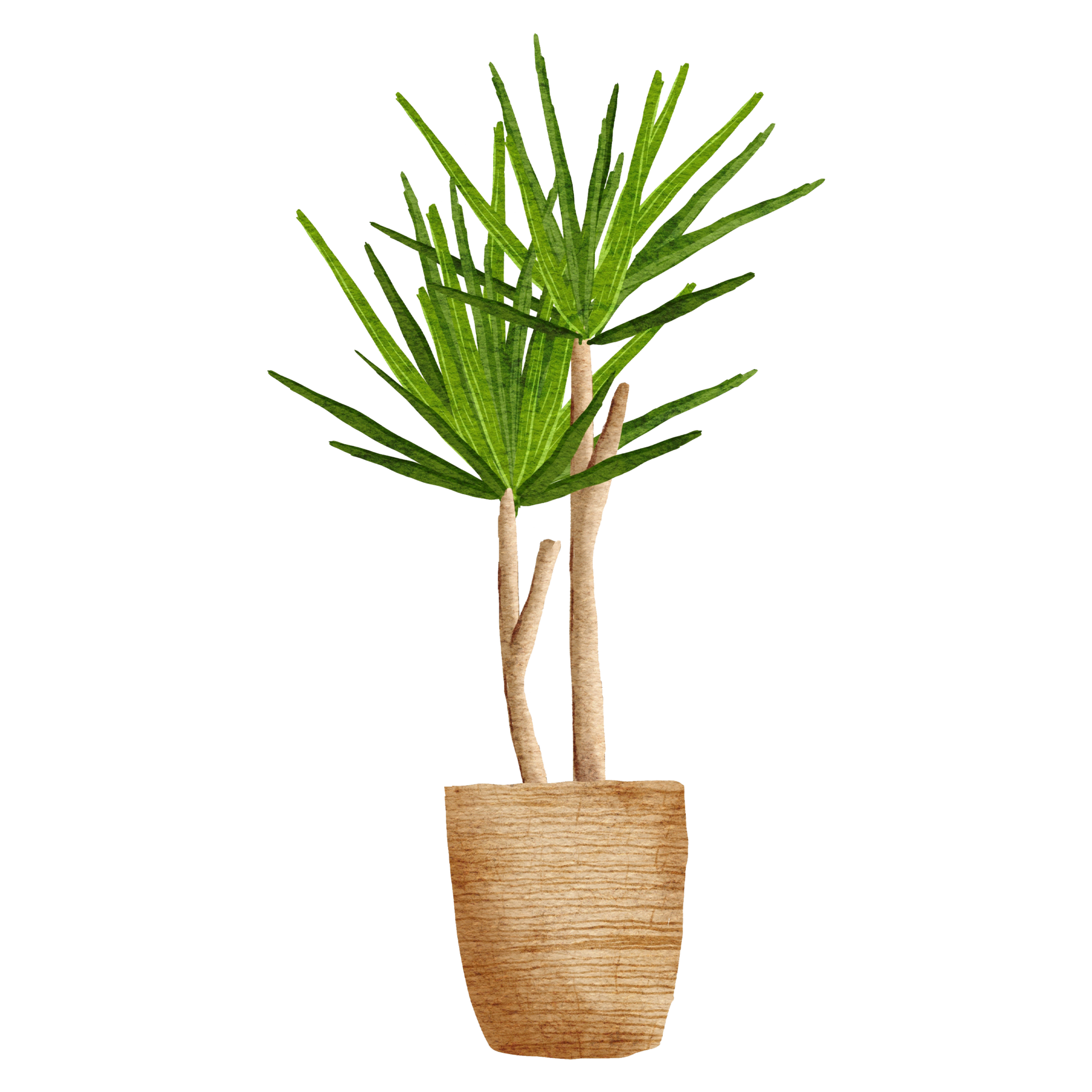 watercolor home decor palm plant with pot 16651326 PNG