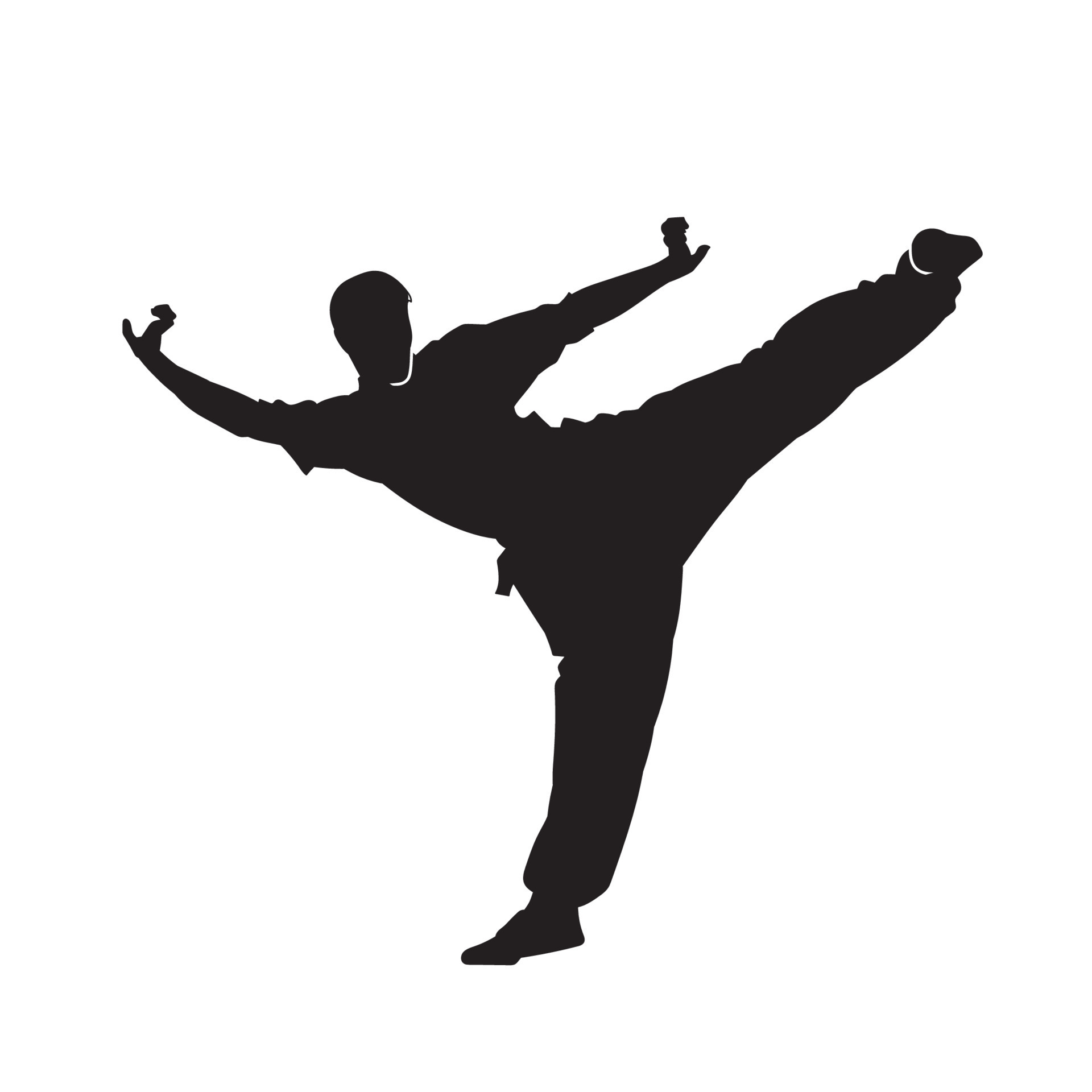 silhouette of a kungfu martial art master. silhouette of a traditional ...