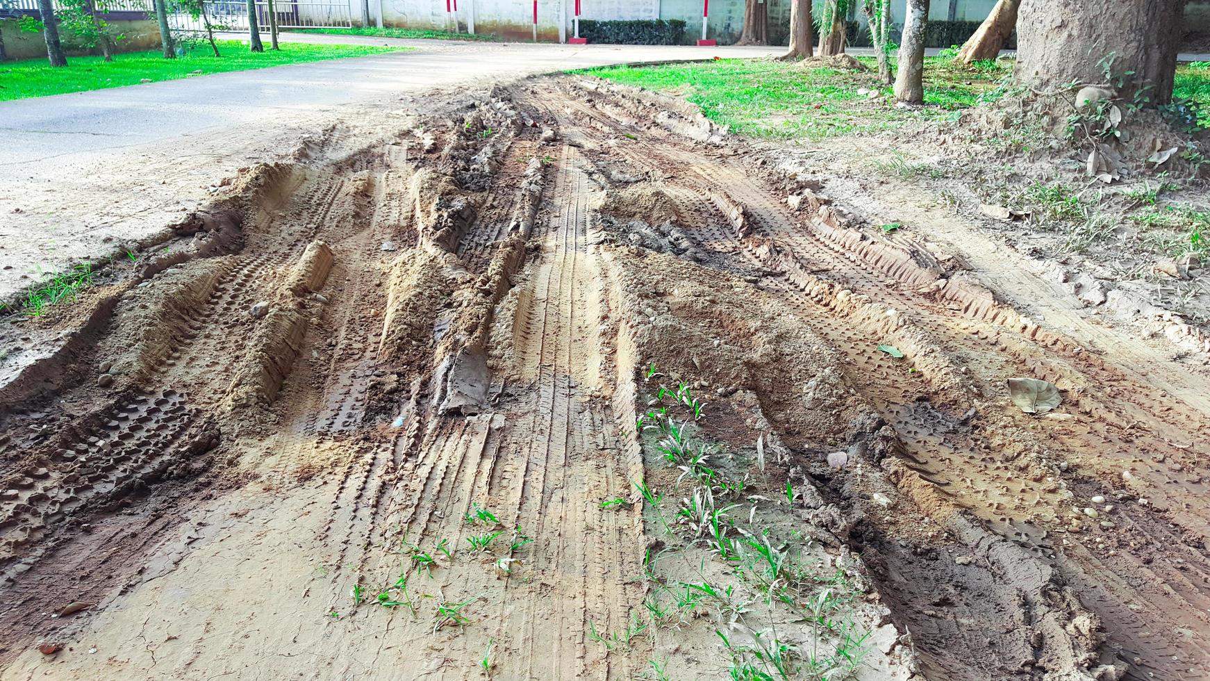 Cartire tracks on dark brown dirt road caused by rain water photo