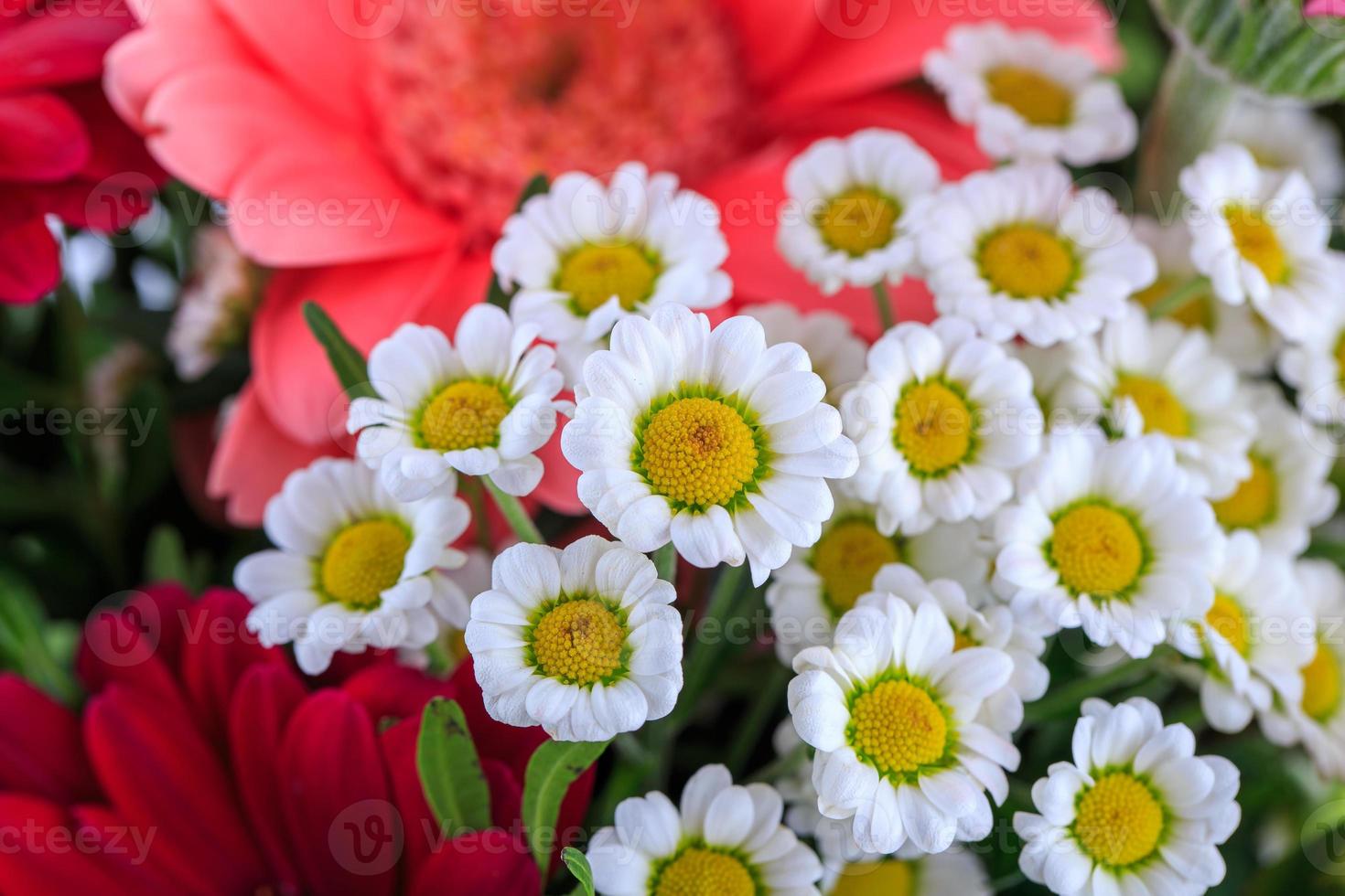 Nice bouquet isolated on white background photo