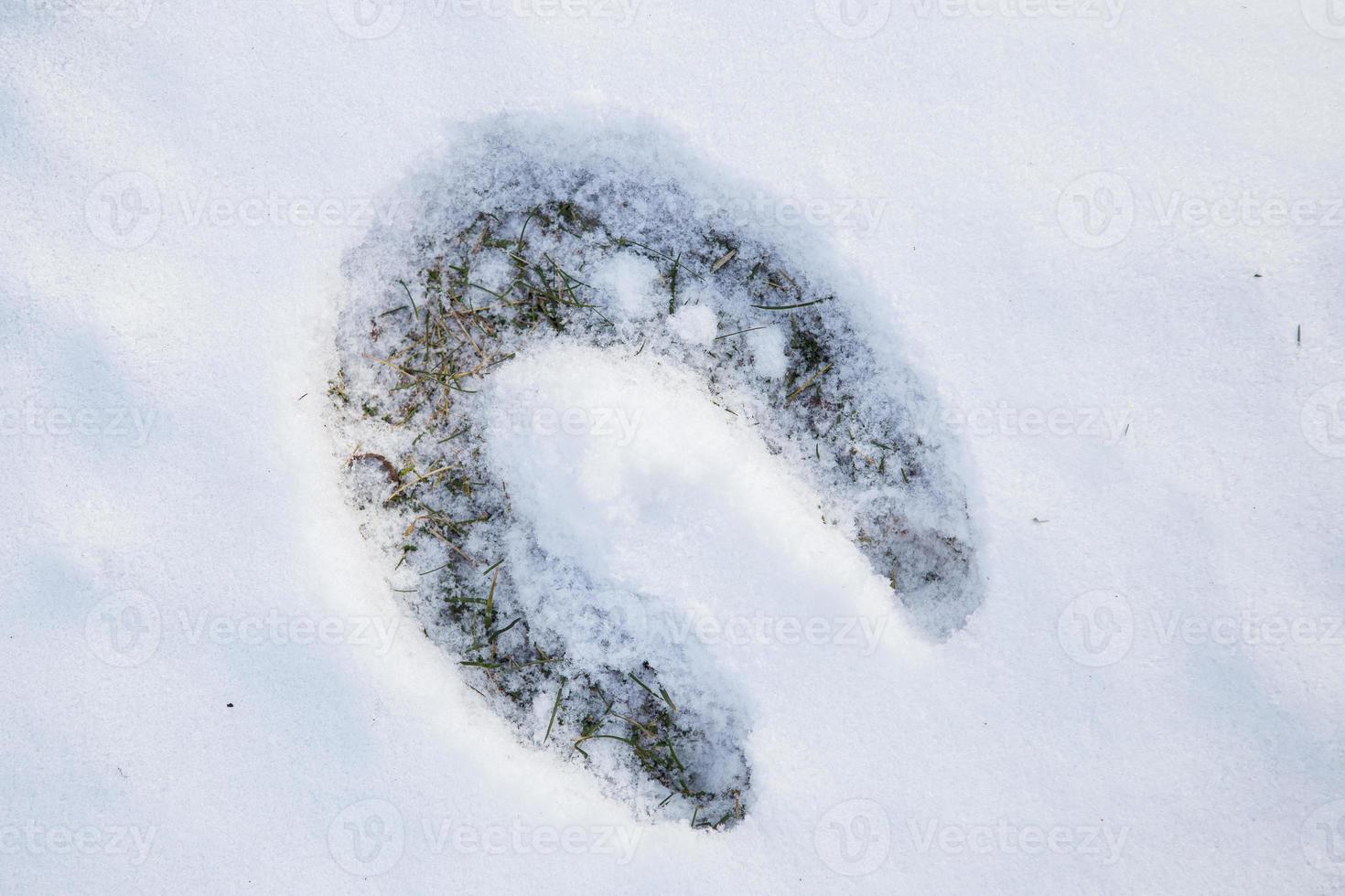 Footprint of horseshoe in snow photo