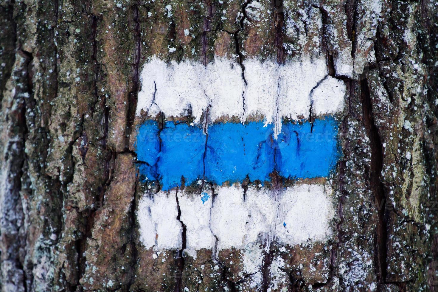 Tourist sign on the tree for a tourist trip photo
