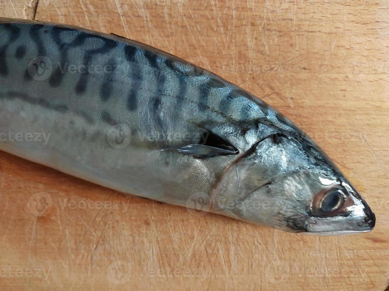 caballa de pescado de mar sobre la mesa foto