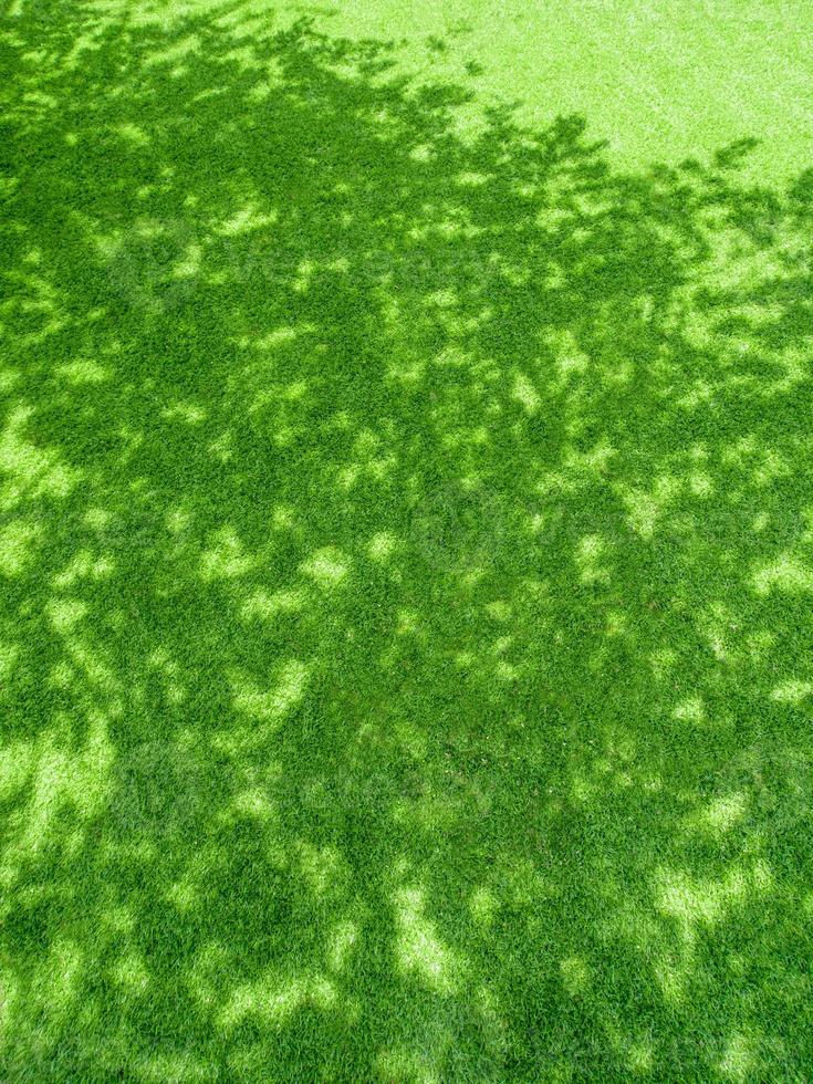 Texture of plastic artificial grass and the shadow of tree on football field photo