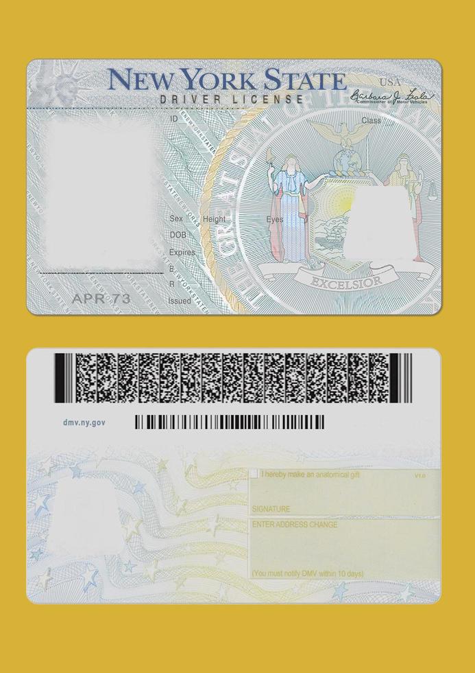 New York driver license Editable Template 16655834 Stock Photo at Vecteezy New York driver license Editable Template 16655834 Stock Photo at Vecteezy