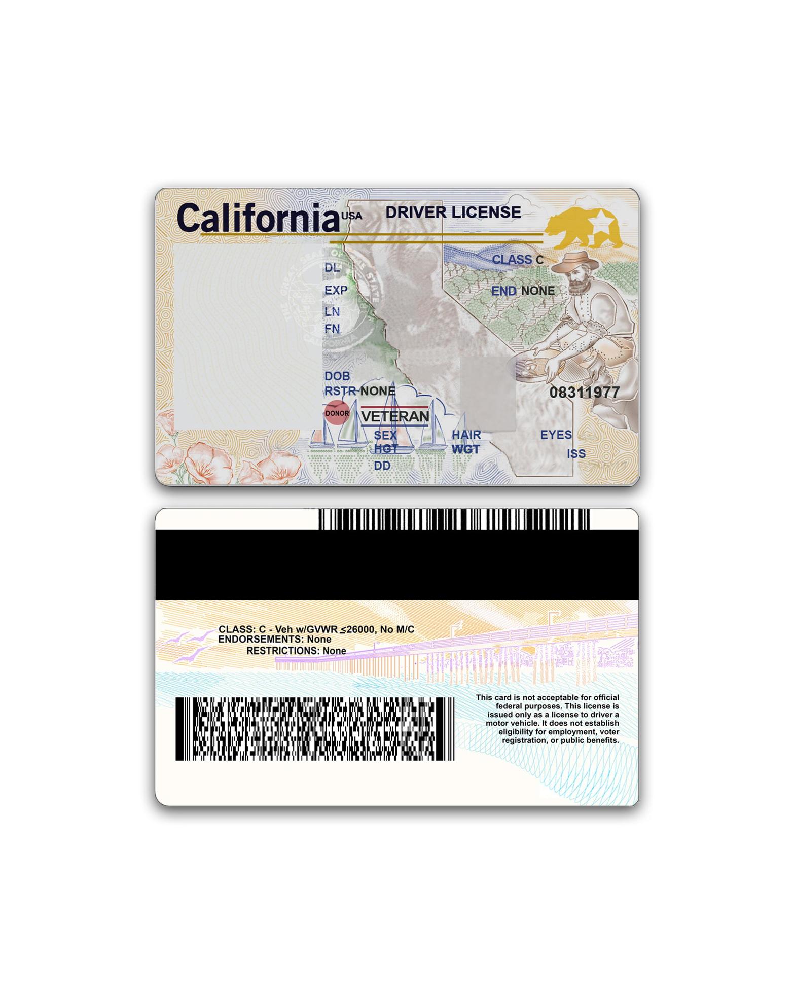 editable-new-california-blank-driver-license-template-16655838-stock