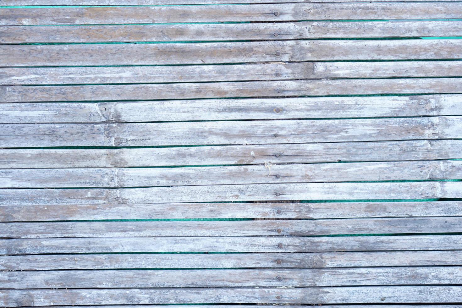 bamboo background in a row photo