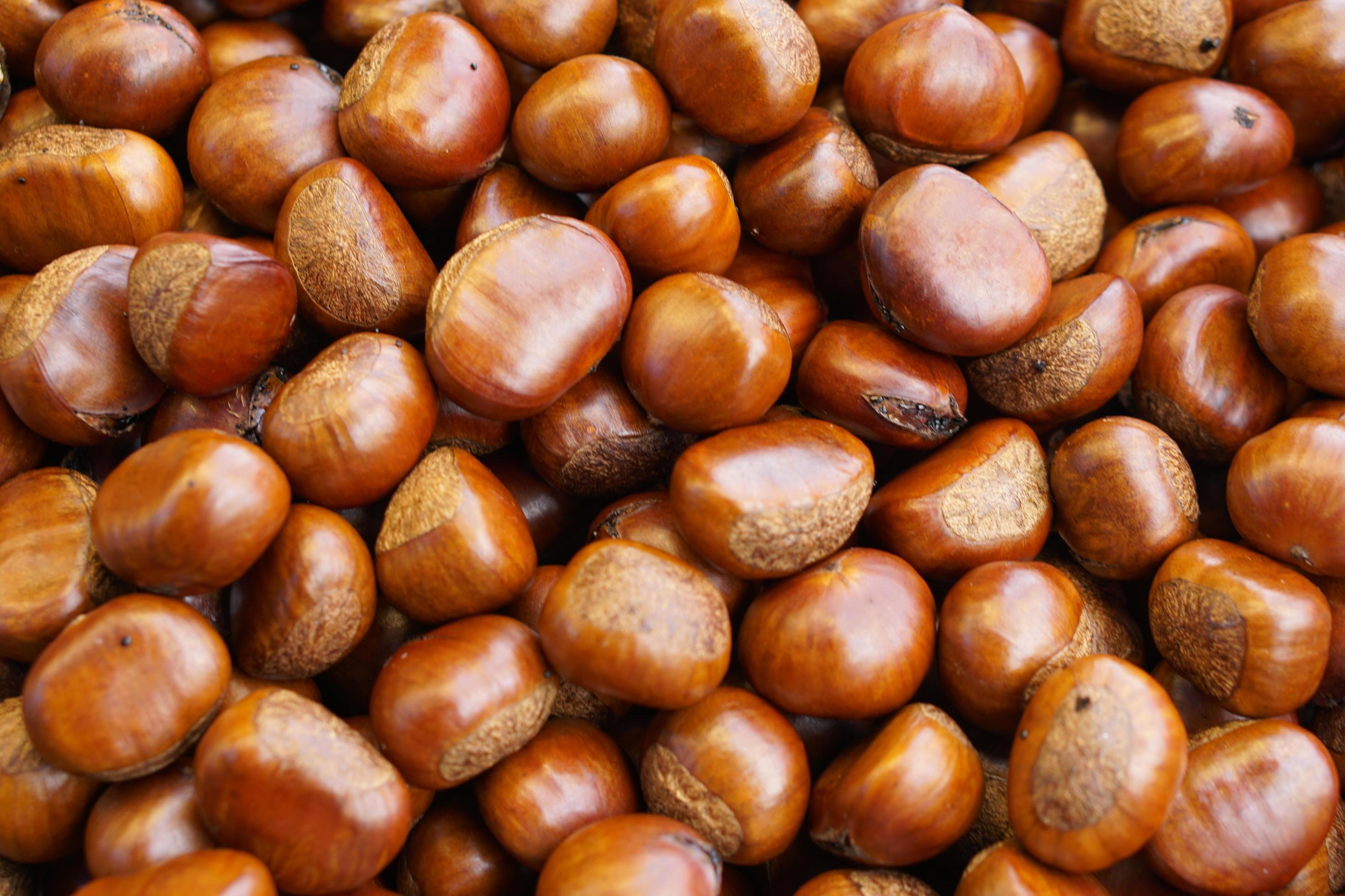 Top view heap of chestnuts. Pile of ripe chestnuts for food background