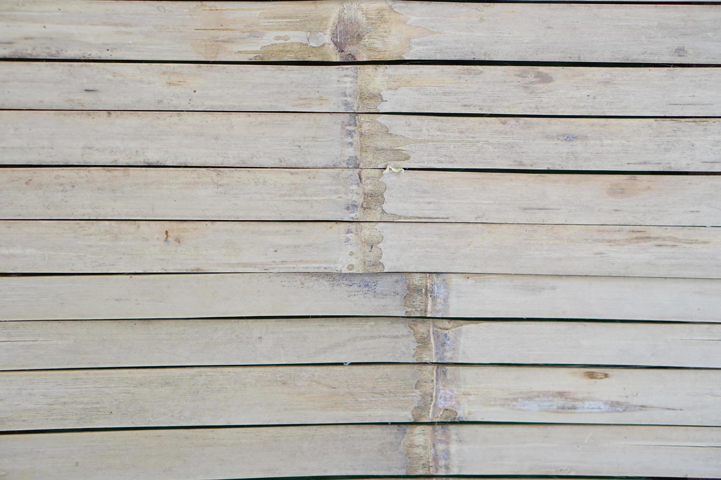 bamboo background in a row photo