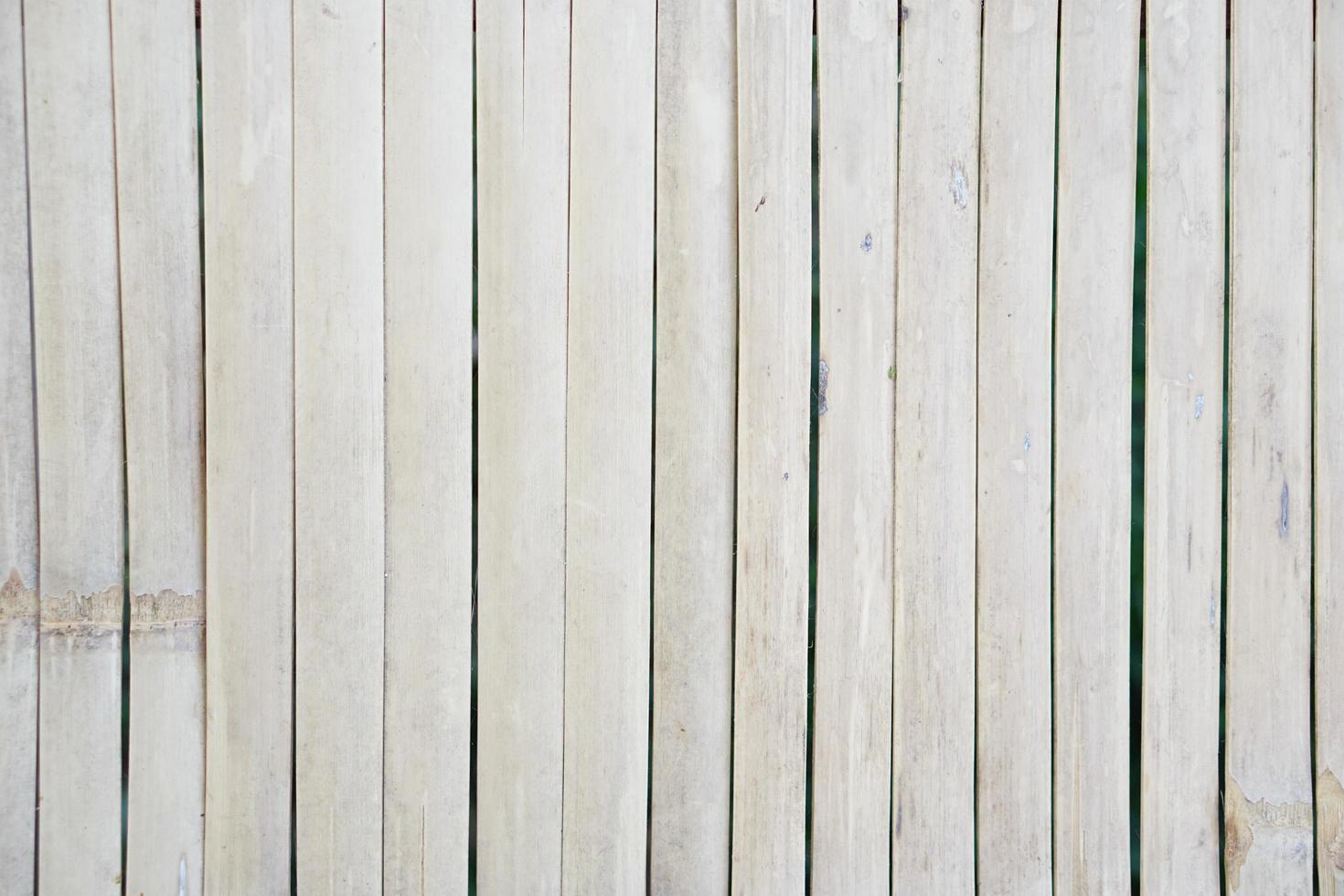 bamboo background in a row photo