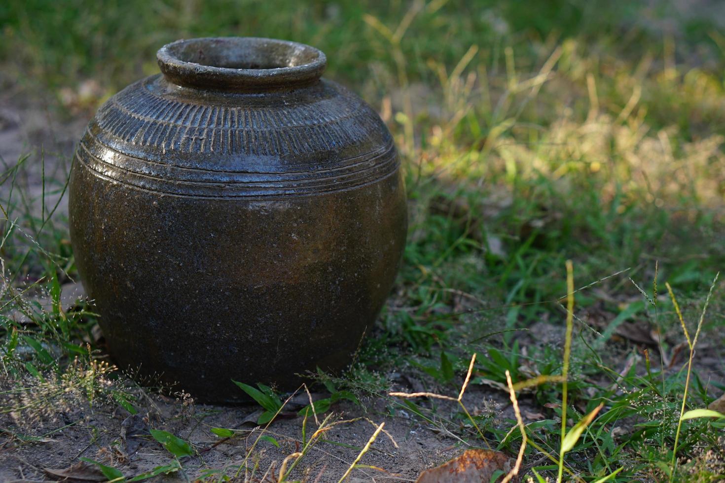 jars on the green grass photo