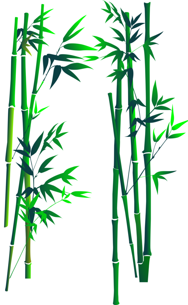 arte de árvore de bambu png