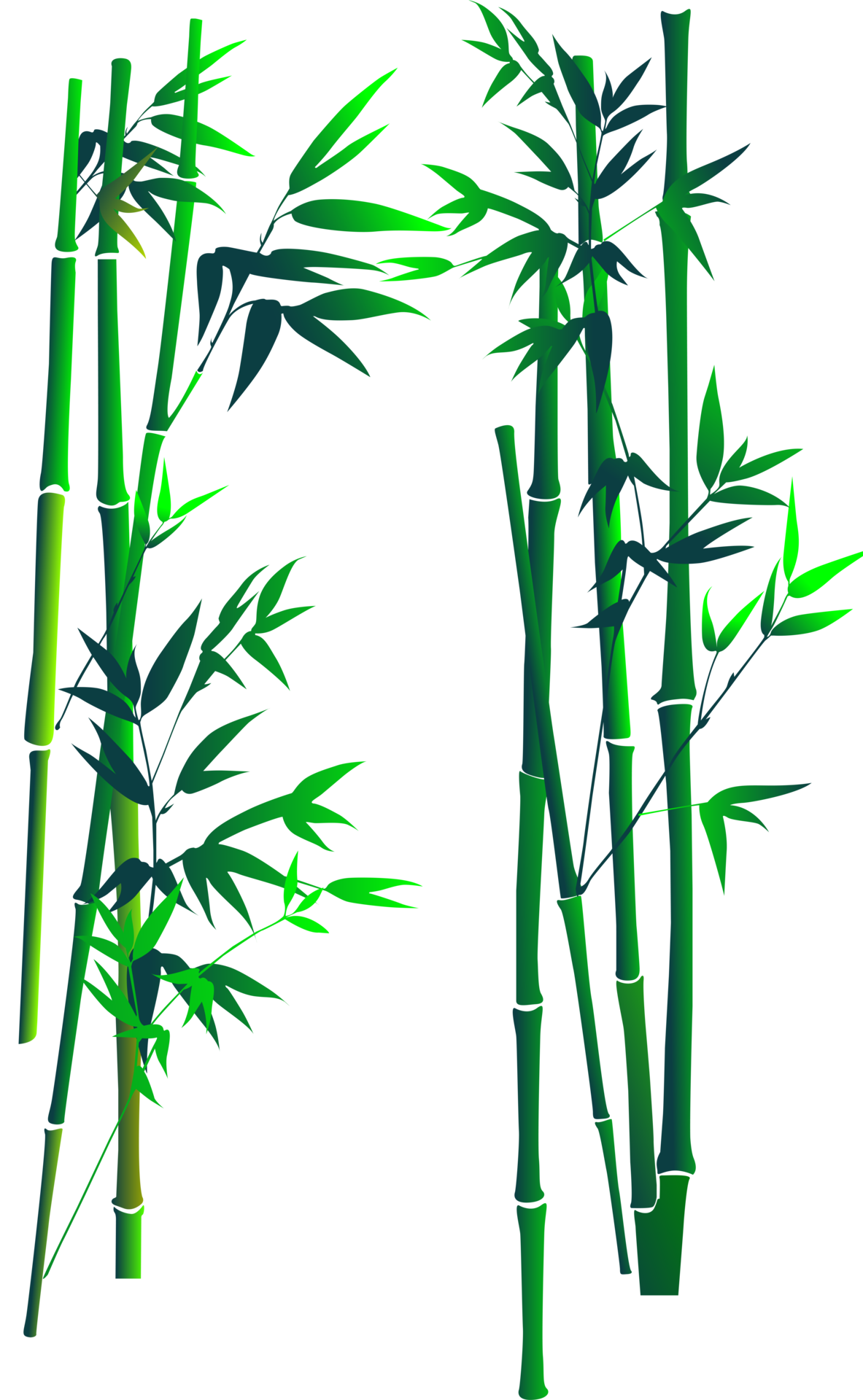Bamboos tress art 16658509 PNG
