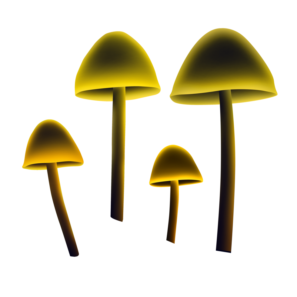 blooming yellow mushroom png