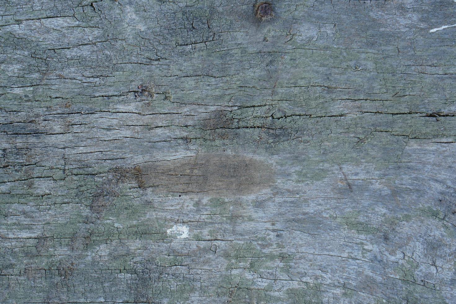 viejo fondo de madera podrida con dibujos foto