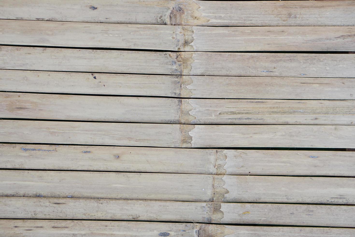 bamboo background in a row photo