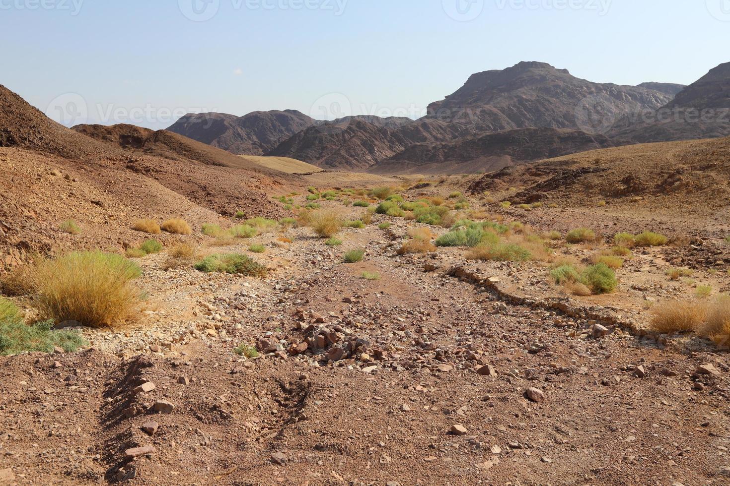 The Negev is a desert in the Middle East, located in the south of Israel. photo