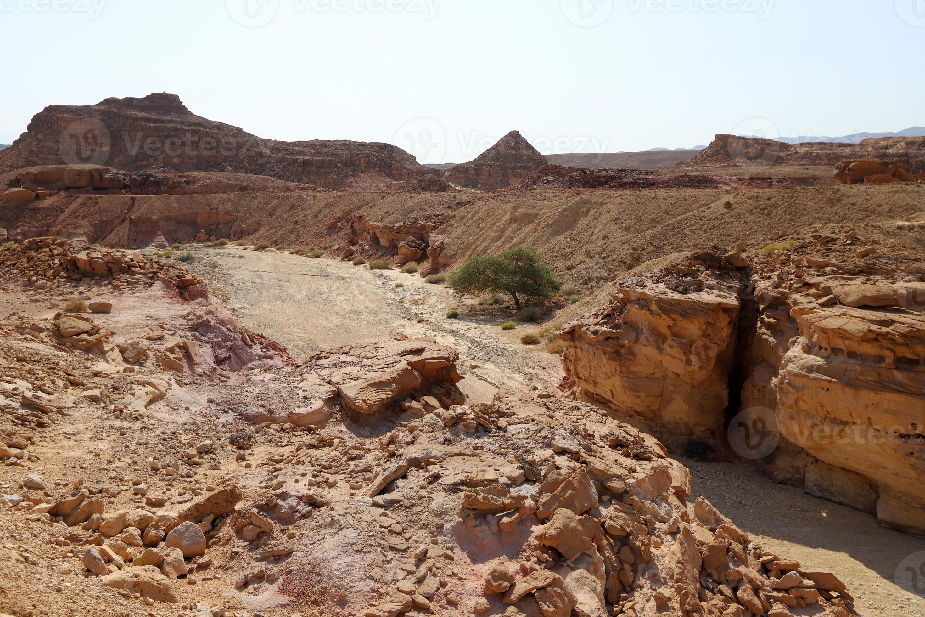 Unveiling The Negev: 7 Astonishing Desert Characteristics - 4rbr7h2