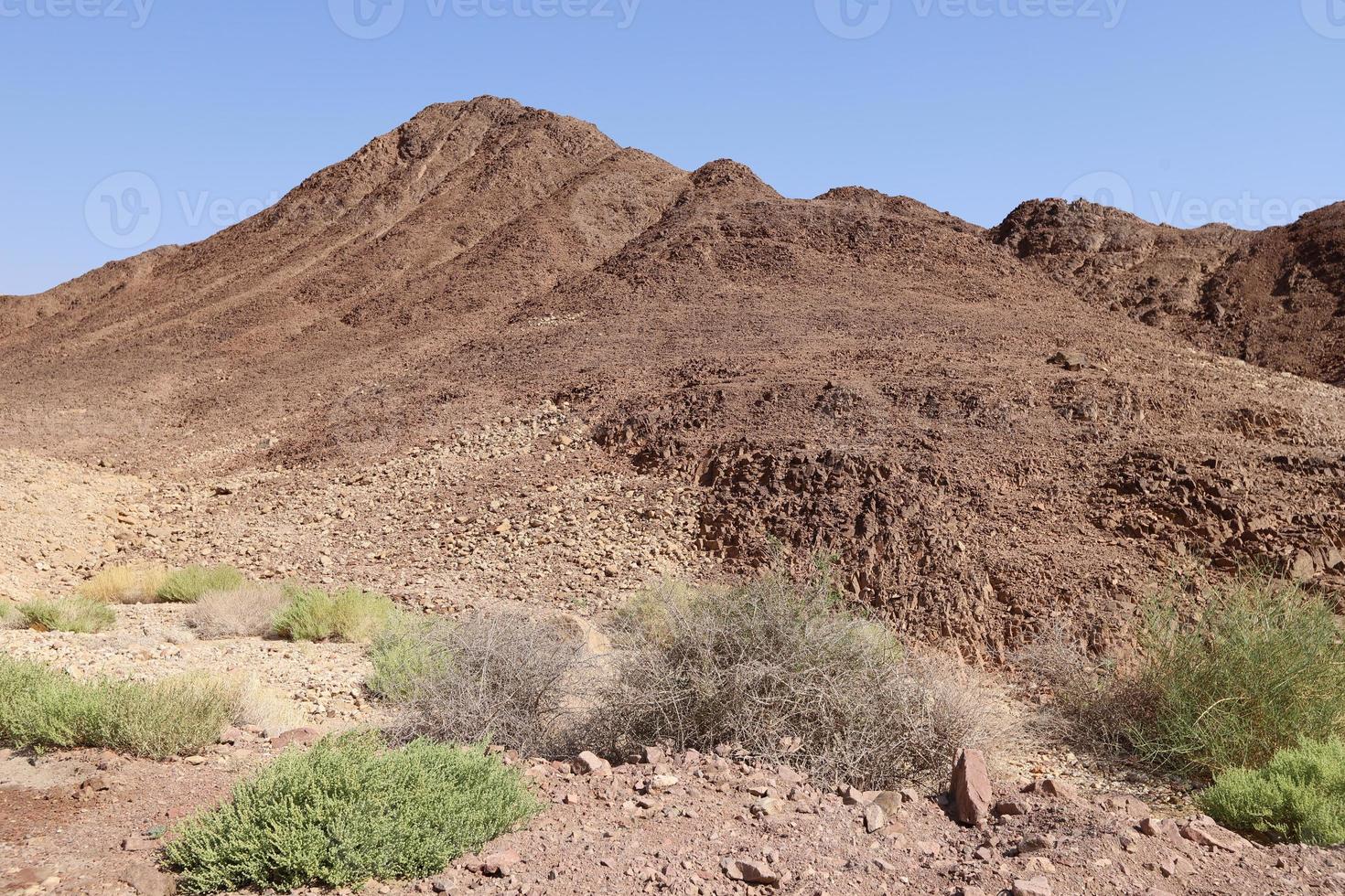 The Negev is a desert in the Middle East, located in the south of Israel. photo