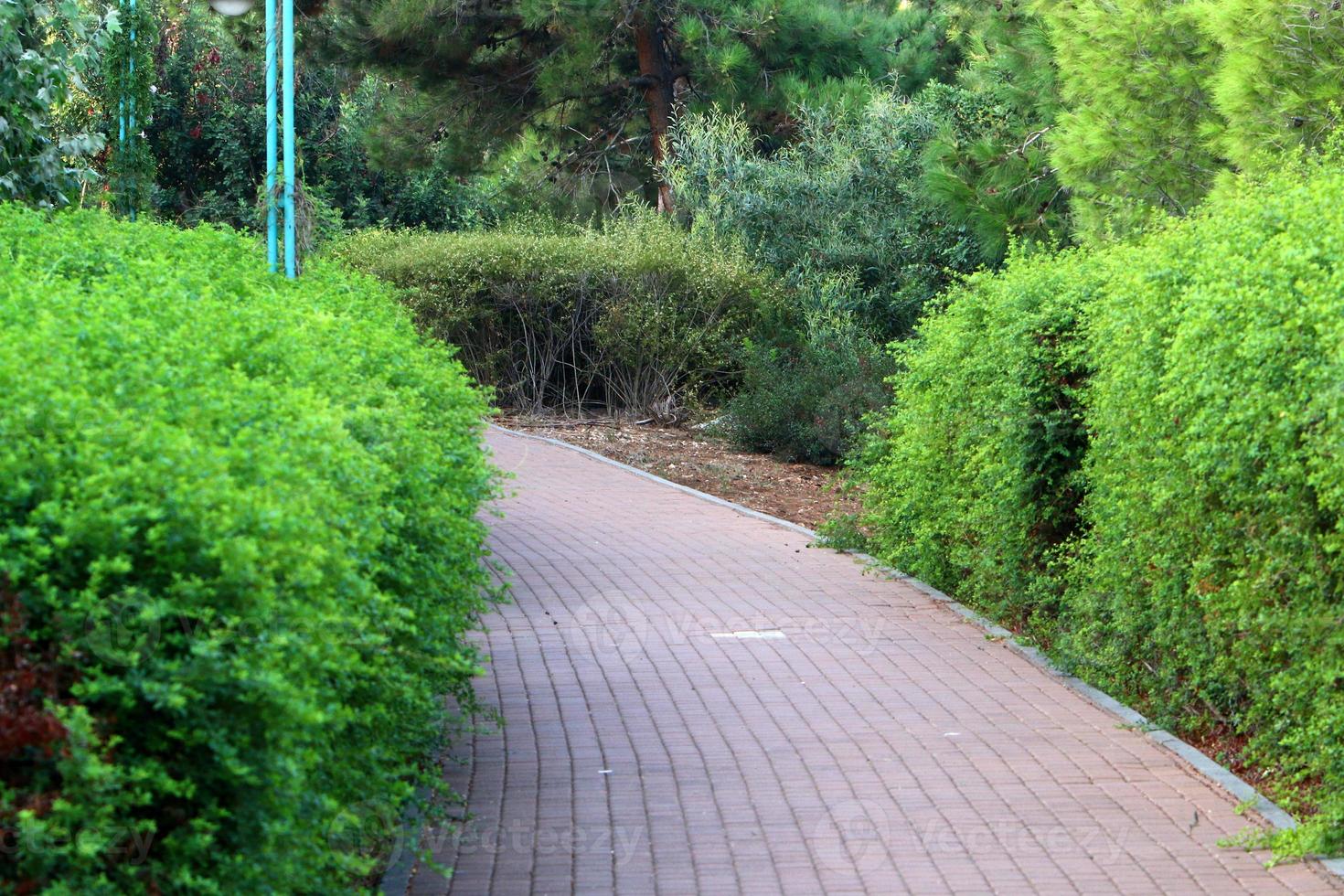 camino para peatones en un parque de la ciudad en el norte de israel. foto