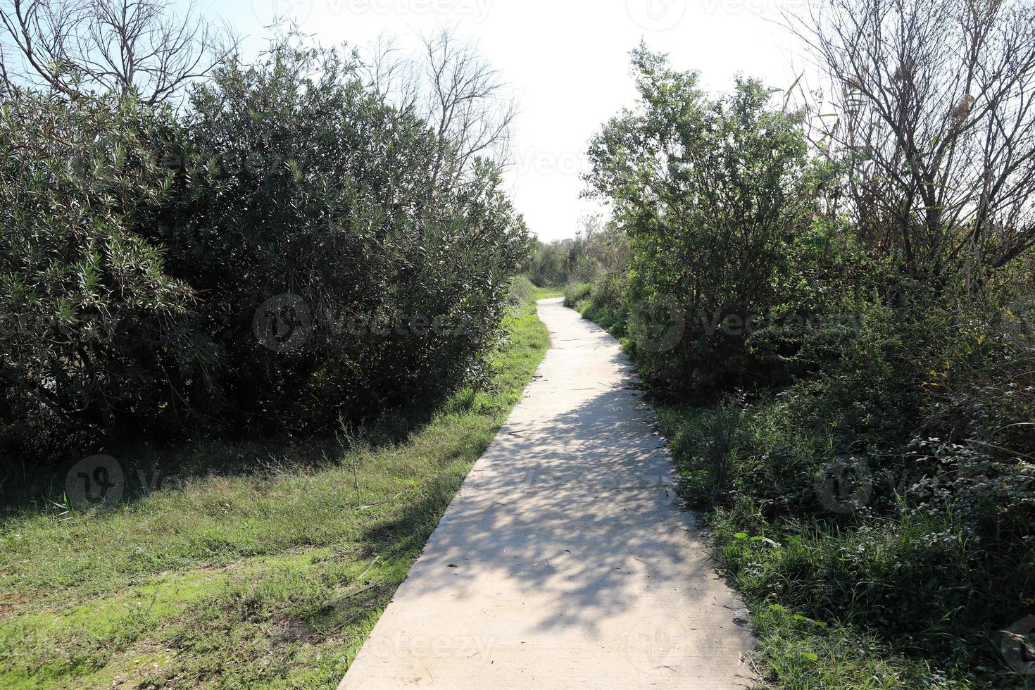 Road for pedestrians in a city park in northern Israel. photo