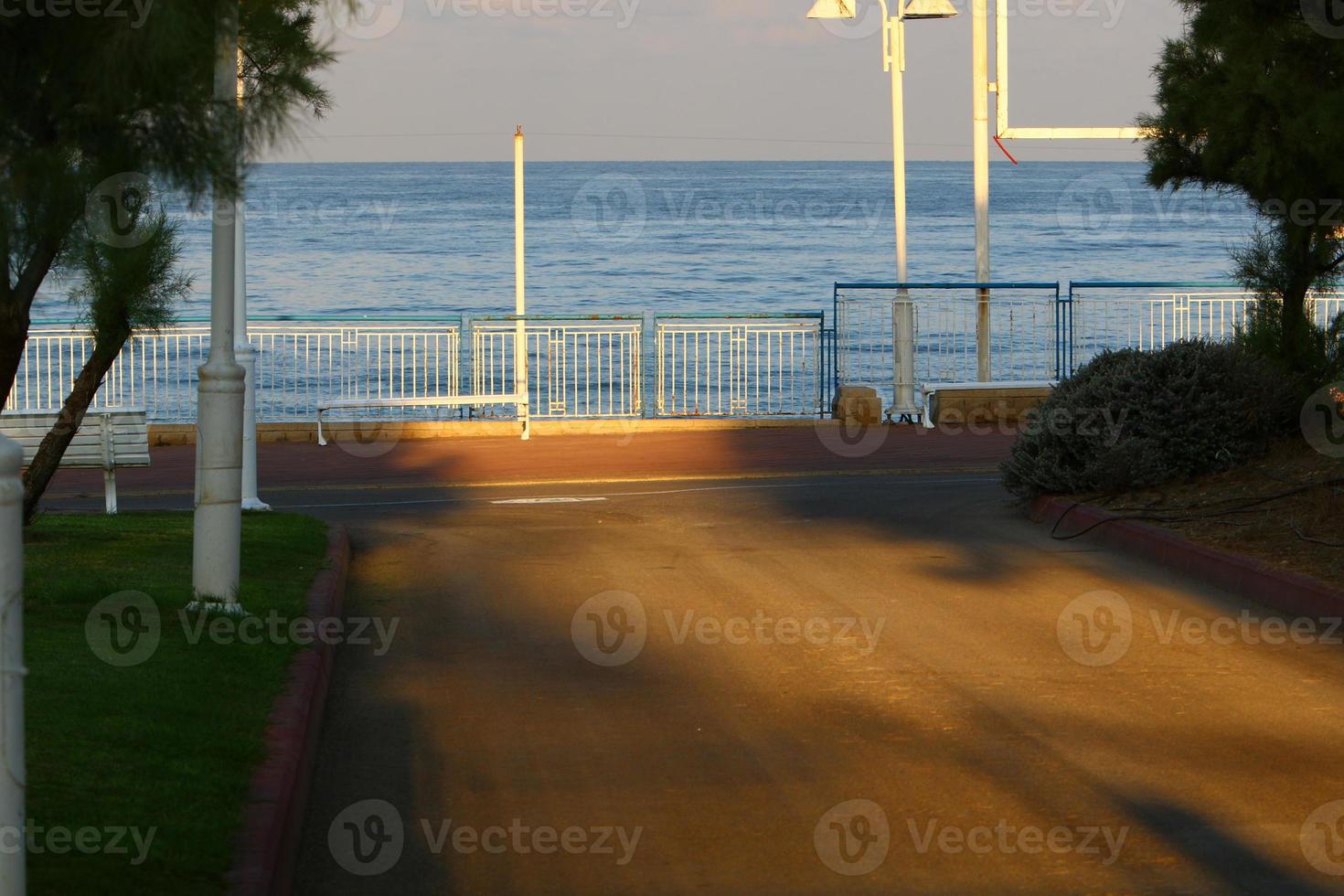 camino para peatones en un parque de la ciudad en el norte de israel. foto