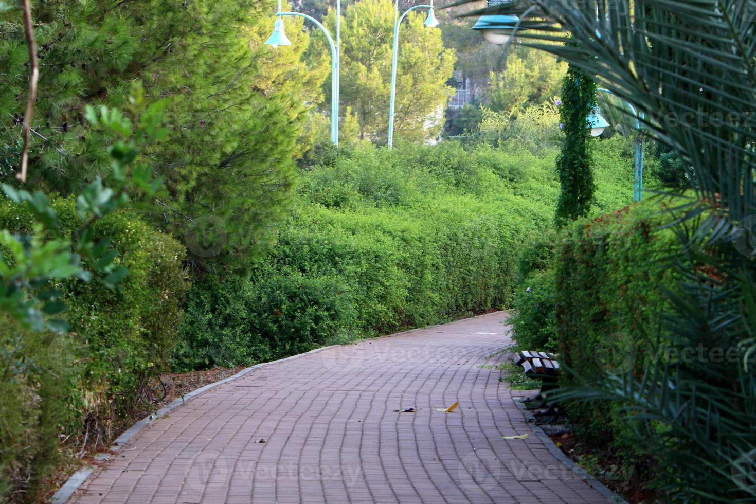 Road for pedestrians in a city park in northern Israel. photo